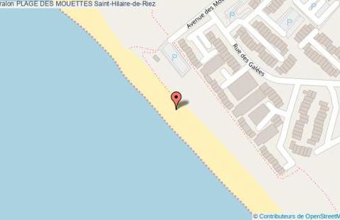 Aux Mouettes les pieds dans l'eau accès direct à la place 5 personnes - Foto 19