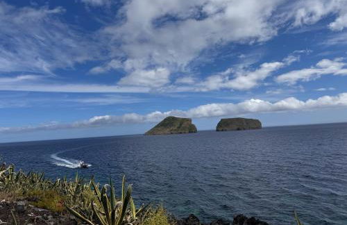 Casa Beira Mar - Photo 23