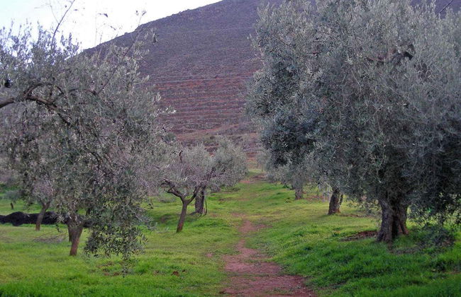 Tour in Láujar de Andarax - Foto 6