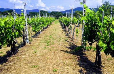 Villino i due Mori - Foto 30