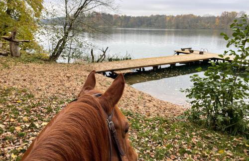 JZ Guest Ranch - Foto 7