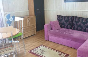 Słoneczny Dworek - Foto 42