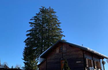 Chalet du Bois Joli - Foto 25