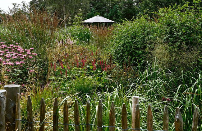 Holiday Home Altes Zollhaus No. 19 - Foto 20