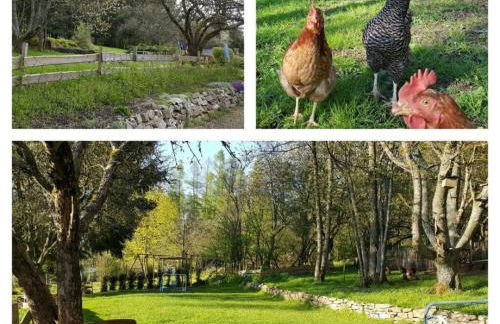 Cosy Apartment in Nohfelden - Foto 13