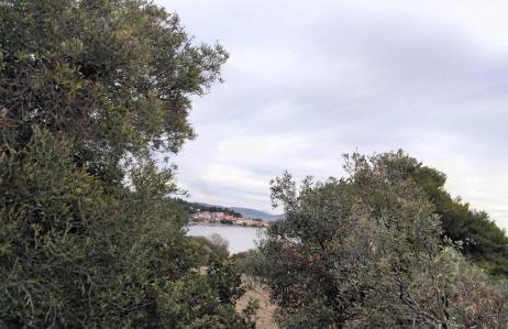 Elia by the sea - Photo 35