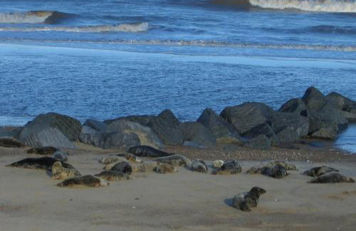 Clipper Cottage - 1874 Wrecker's home - Photo 30