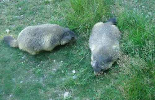 Pyrénées Boutx - Grand Gîte de caractère - Foto 52