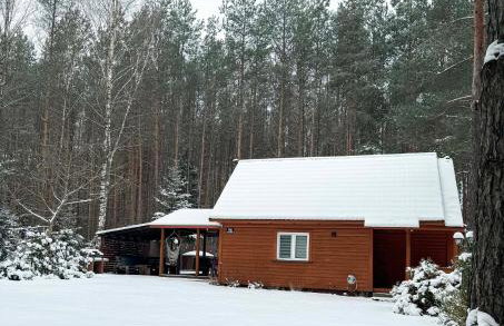 Chata przy lesie - Foto 61