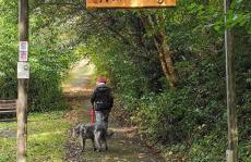 Ferienwohnung Münch - Foto 21