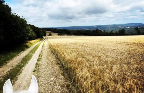 Large family home based at Westerlands Farm - Photo 13