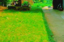 CASETTO ROSSO - Foto 51