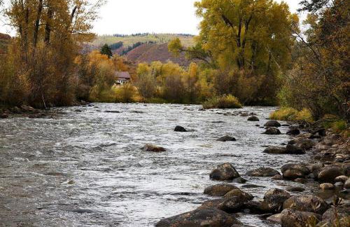 Jack Rabbit - Foto 24