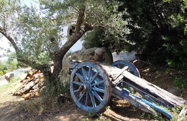 Agriturismo Camisadu - Foto 43