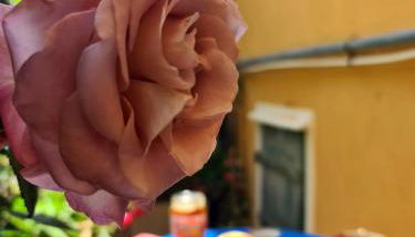 Il sogno del capitano - Photo 5