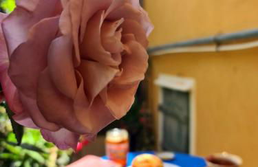 Il sogno del capitano - Photo 5