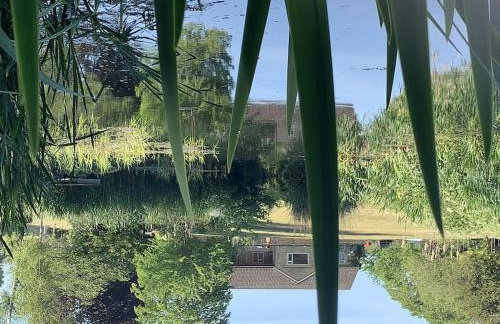 The Quackery - Foto 3