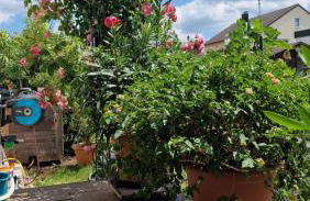 Ferienwohnung Wiesental 89331 Burgau, Wiesentalstrasse 1 - Foto 60