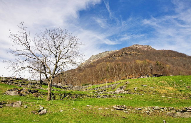 Rustico Esterina - Foto 23