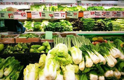 Garden Oasis Cozy Home Near Bart Shop with Parking - Photo 60