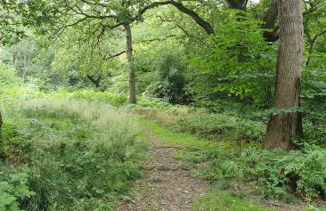 Stag Cottage - Foto 21