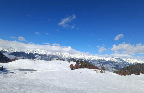 Famiglia Brochetti - Foto 17