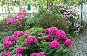 Appartementhof Stadler - Foto 74