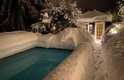 Landhaus am Plattenbichl - Luxus Apartment mit Pool und Sauna - im Sommer Bergbahn inklusive - Photo 19