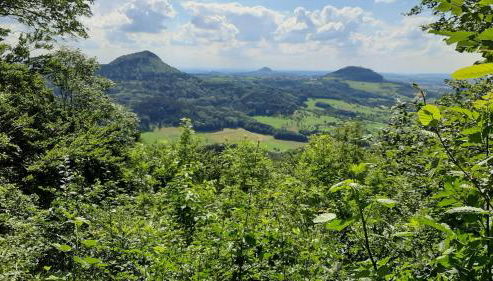 Ferienwohnung Bauchert - Foto 2