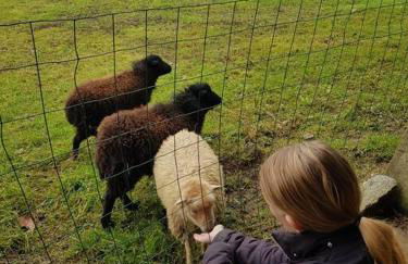 les saisonnières 18 personnes avec piscine - Foto 50