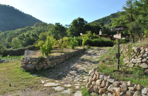 Azienda Agricola Biologica La Cardellina - Foto 20