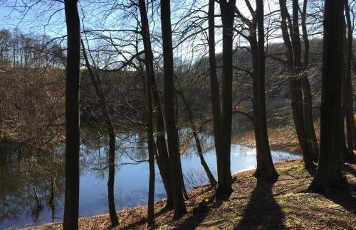 Hof Uhleck am Königsstuhl - Foto 14