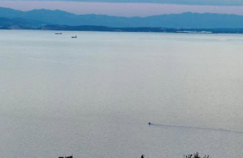 Villa Antonio - Photo 17