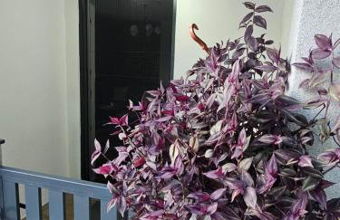 Studio Apartman Dorian - Foto 22