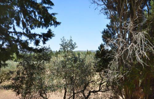 les mazets de la reine Pédauque - Foto 11