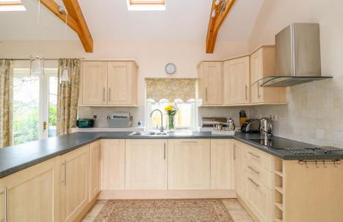 Forget-me-not - Foto 6