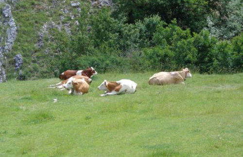 Agriturismo Le Prata - Foto 24