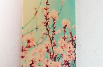 Ferienwohnung Riesling - Foto 17