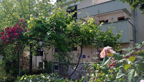 Apartman Adrijana Kastav, free WiFi & parking, 2 bedrooms & sea view - Foto 3, Garden