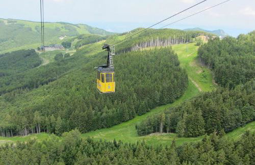 Residence Cimone SuperSci Polle-life - Foto 98