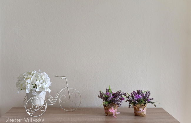 Villa Andu Zadarvillas - Foto 43