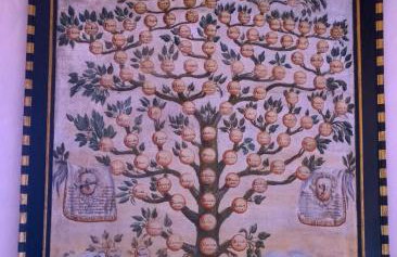 Il Casale Del Cotone - Foto 11