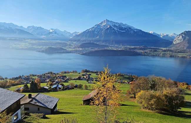 Chalet With Panoramic Views of the Mountains of the Oberland and Lake Thun - Foto 62