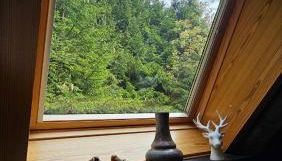 Chalet in Freilingen Blankenheim mit Seenähe mitten in der Natur - Photo 4