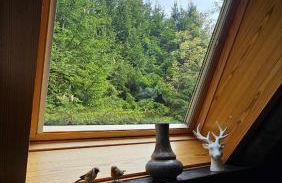 Chalet in Freilingen Blankenheim mit Seenähe mitten in der Natur - Photo 4