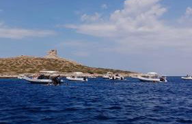 CASA CAVORA - Villa Petunie - Foto 31