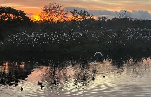 Private Tropical Waterfront Sanctuary w pool, hot tub & an island! Pet Friendly - Foto 41