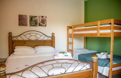 Anastasios Olive Garden Apartments - Foto 64