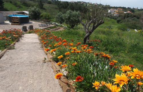 Casal Regina - Foto 24