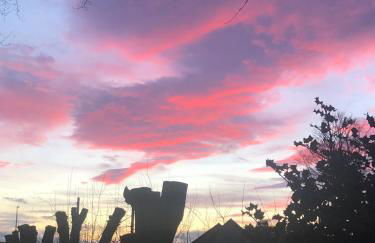 Beautiful Listed Mansion with incredible woodland views - Photo 25